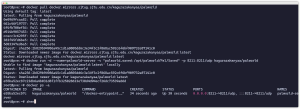 Docker部署幻兽帕鲁服务端教程-Vc博客
